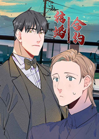 结婚合约,结婚合约漫画